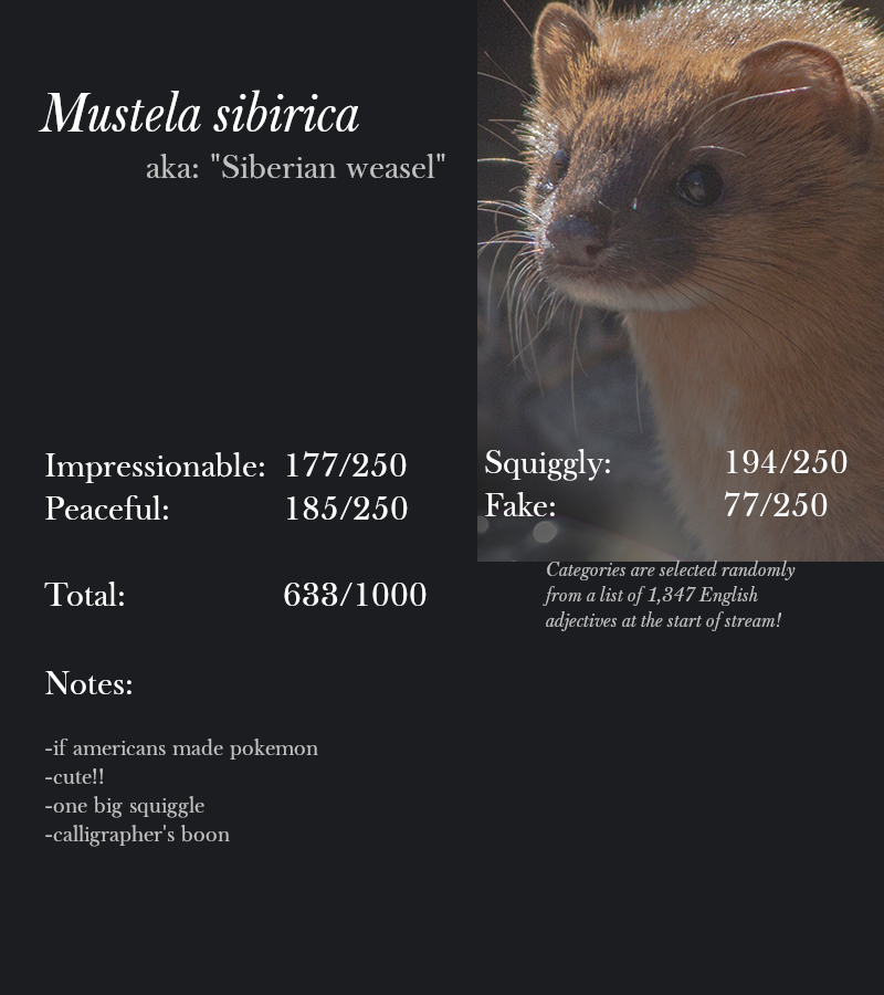 Mustela sibirica